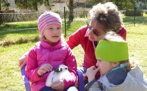 Hasen-Besuch im Kindergarten