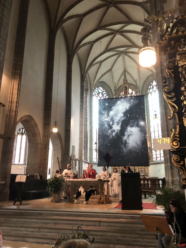 Palmsonntag in Eferding / ©Bild für die Pfarrbgemeinde Eferding/Julia Gaheis 'Die Kinder und das ganze Volk'