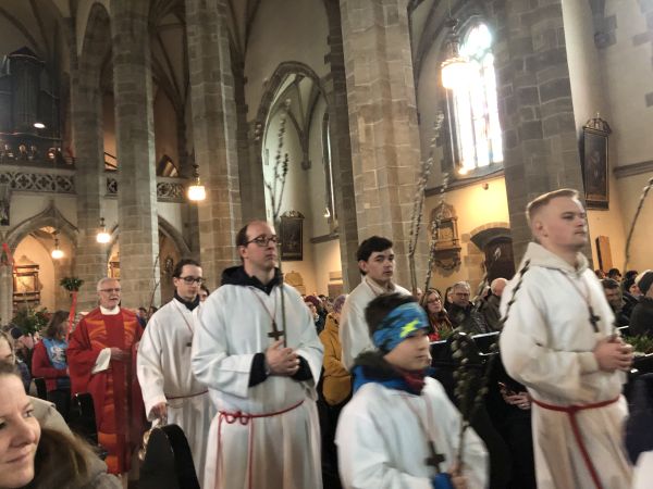 Palmsonntag in Eferding / ©Bild für die Pfarrbgemeinde Eferding/Julia Gaheis 'Die Kinder und das ganze Volk'