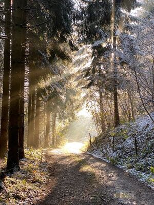 Winterlandschaft