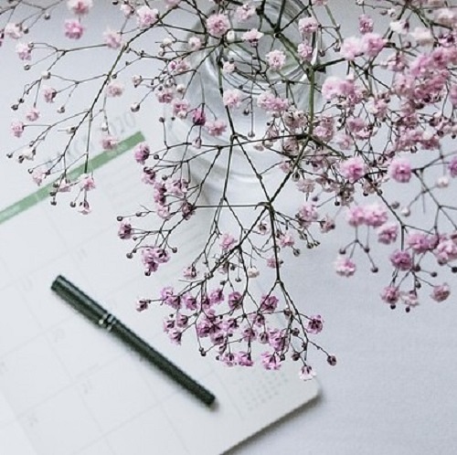 Stift mit Blume