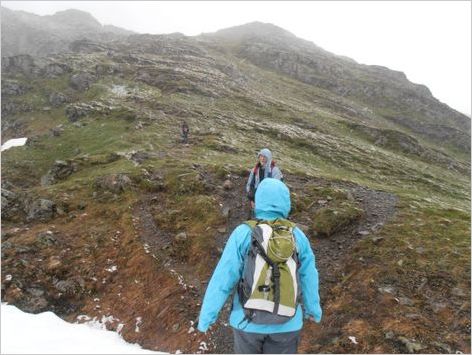 Picasa OLYMPUS DIGITAL CAMERA