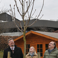 Ein Kastanienbaum für den Pfarrcaritas-Kindergarten St. Marien