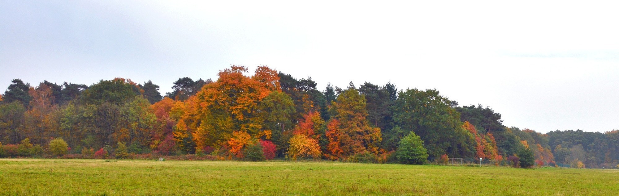 Herbstpanorama