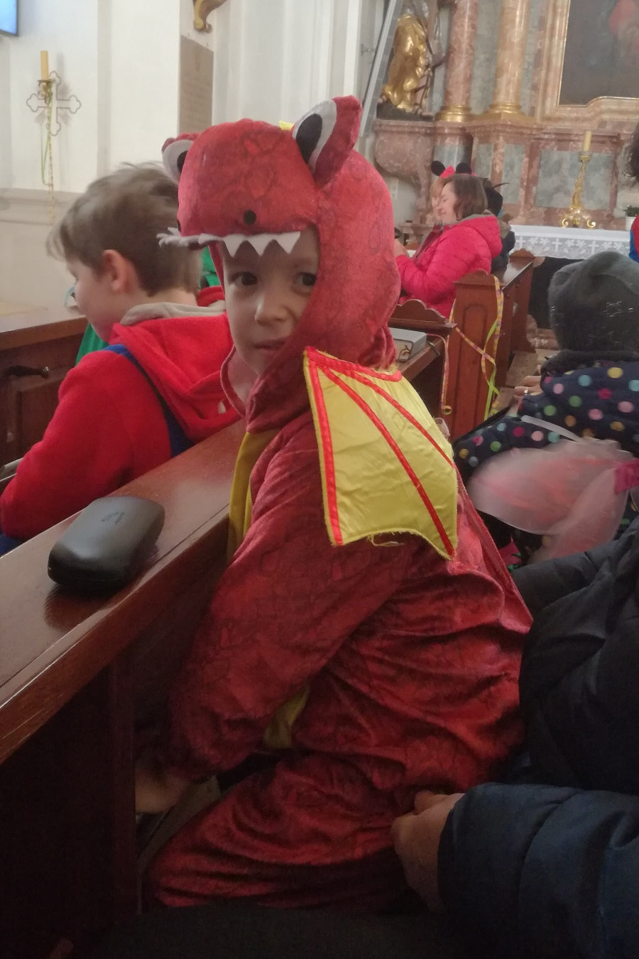 Pfarrre Hofkirchen Trattnach