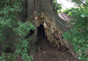 © Pfarre EferdingerLand