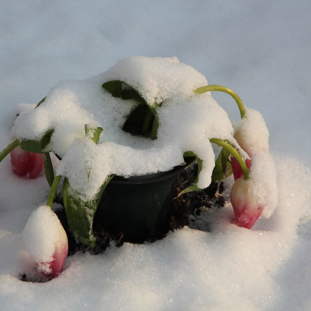 Winterdienst