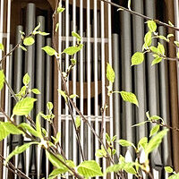 Orgelprospekt im Mai / Sylvio Krüger / Pfarrbriefservice.de https://www.pfarrbriefservice.de/image/orgelprospekt-im-mai-0?vm=download&rdm=dt6.VQ5gDVZI