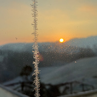 Eisblumen am Fenster