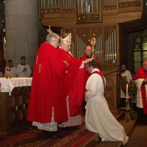 Priesterweihe im Linzer Mariendom