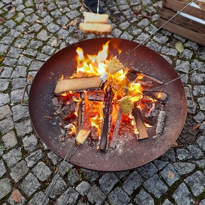 Blätter färben den Herbst bunt