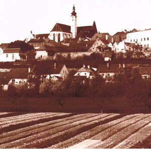 Blick auf Enns mit Pfarrkirche Enns-St.Marien um 1920 (im Vordergrund Krautäcker)
