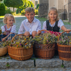 Die Kinder der Trachtengruppe Kirchdorf an der Krems