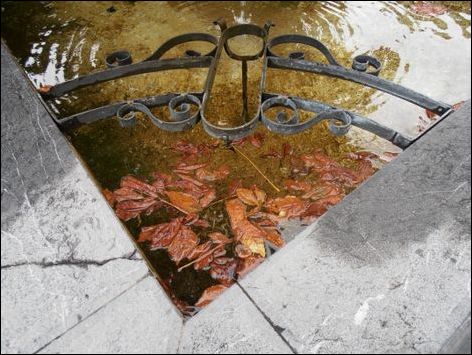 Picasa OLYMPUS DIGITAL CAMERA