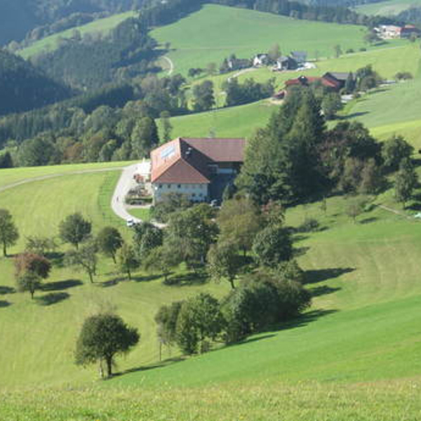 Ich wünsche dir