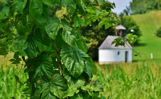 Kapelle im Grünen