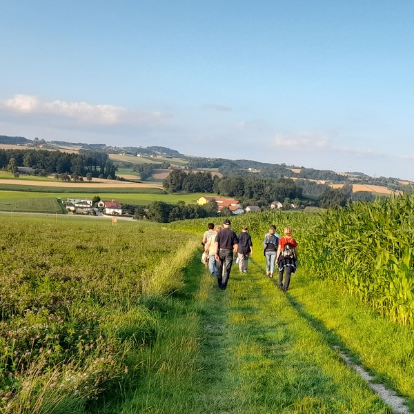 Abendwanderung