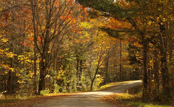 Herbstweg. © earl53/morgueFile.com