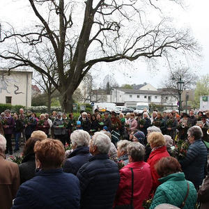 Palmsonntag in St. Quirinus