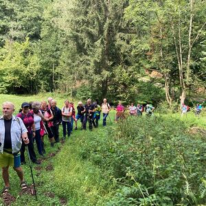 Pilgern durch die 12 Pfarrgemeinden der Pfarre Schärding