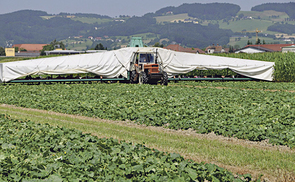 Die Unbekannten auf dem Feld