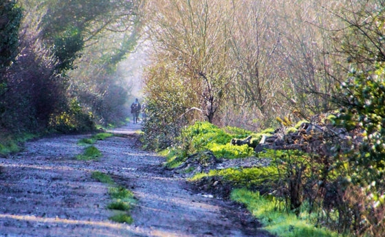 Approach of Spring/morgueFile f.ph.