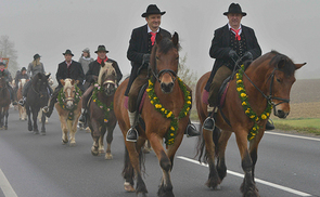 Leonhardiritt in Pettenbach © Jack Haijes